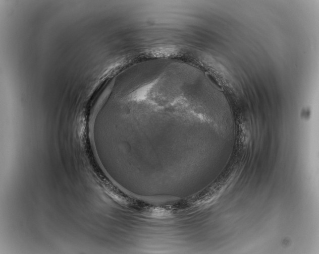 X0000098190308200804241251