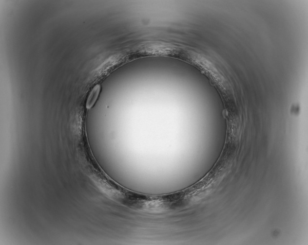 X0000098190309200804241251