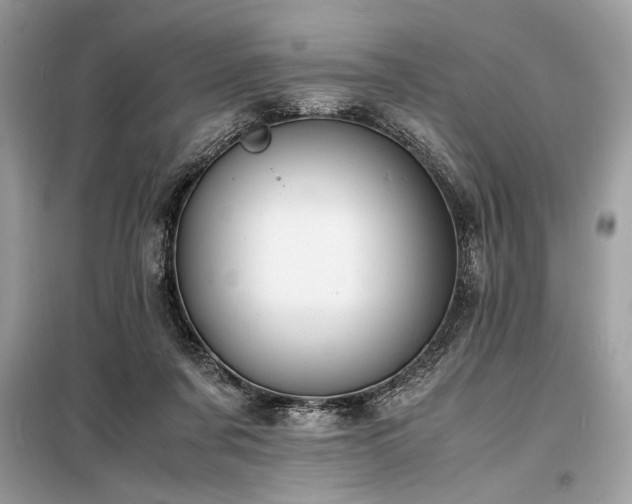 X0000098190311200804241251