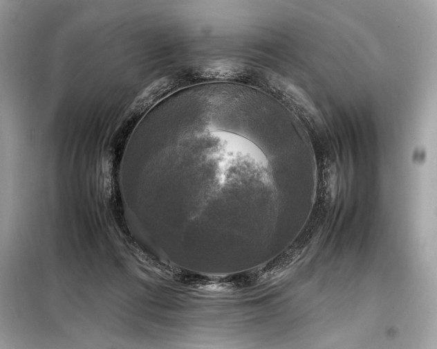 X0000098190312200804241251