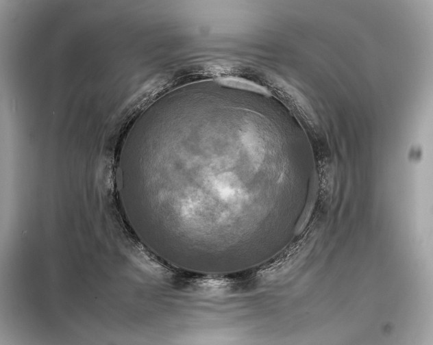 X0000098190313200804241251