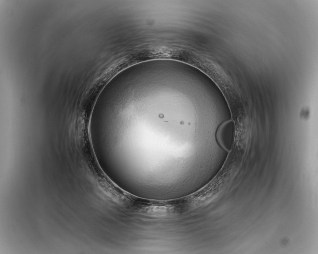 X0000098190314200804241251