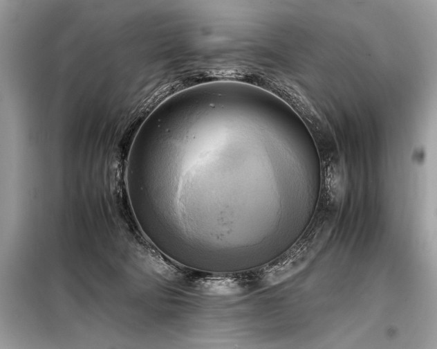 X0000098190322200804241251