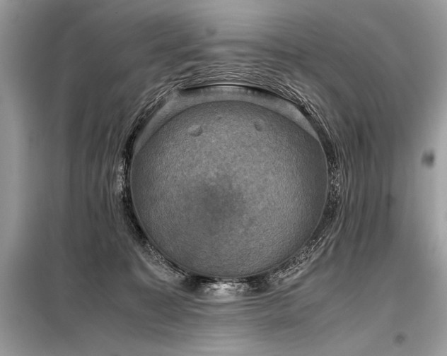 X0000098190323200804241251