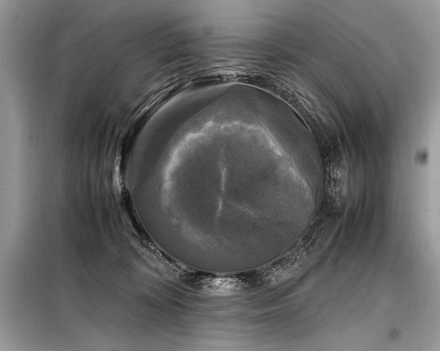 X0000098190324200804241251