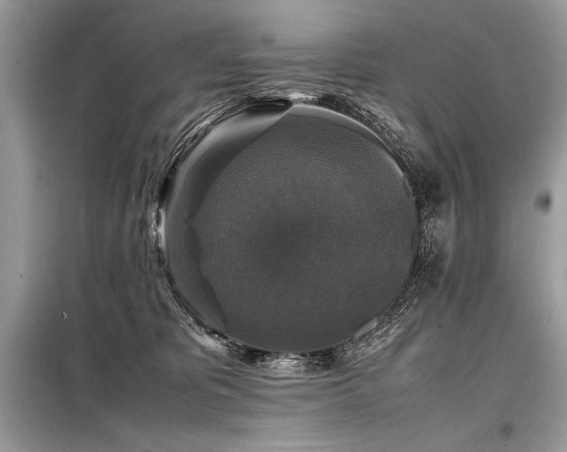 X0000098190325200804241251
