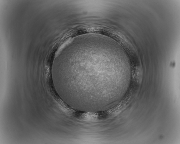 X0000098190327200804241251