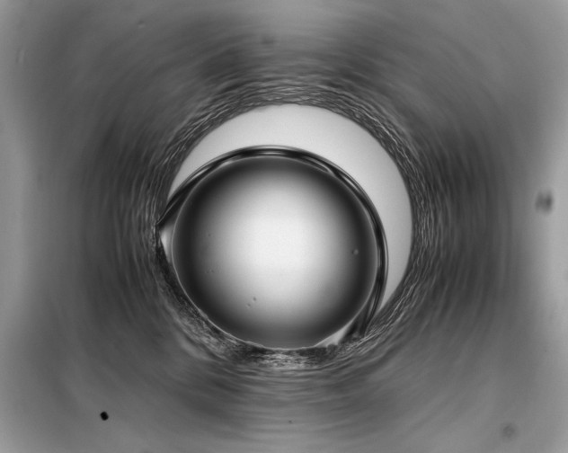 X0000098190328200804241251