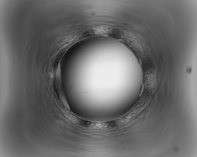 X0000098190329200804241251