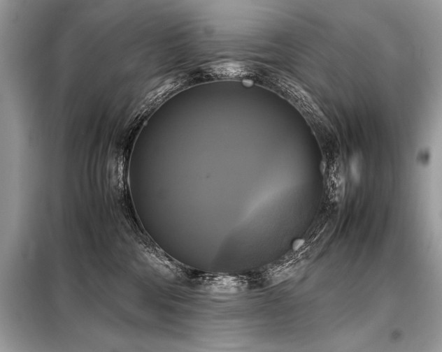 X0000098190330200804241251