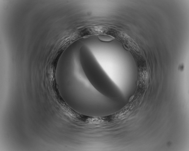 X0000098190331200804241251