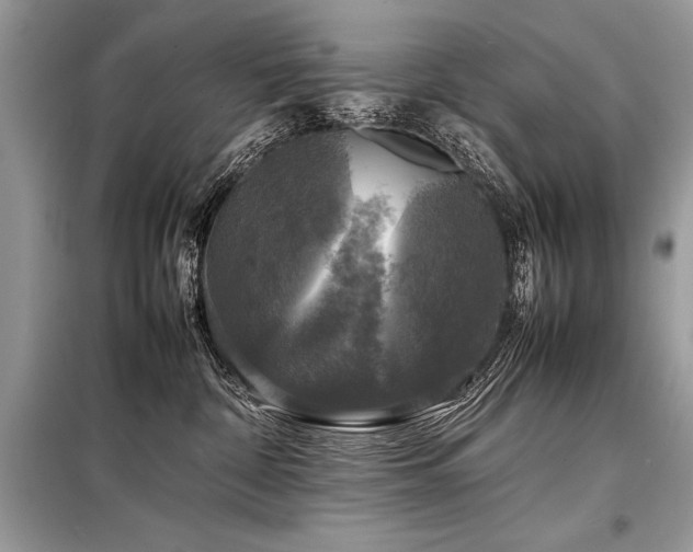 X0000098190332200804241251