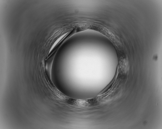 X0000098190333200804241251