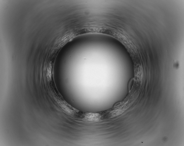 X0000098190334200804241251