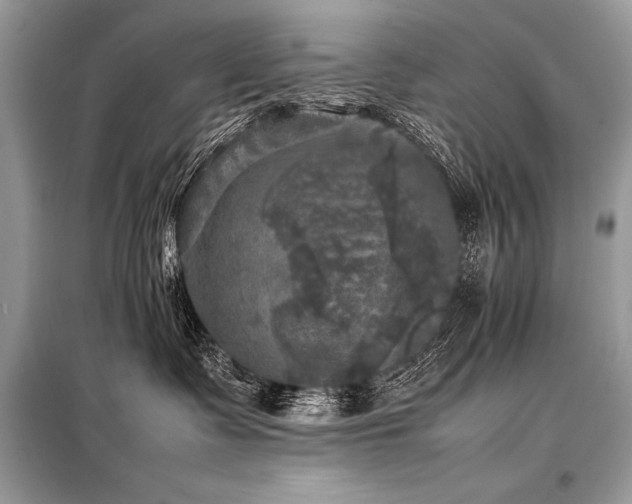 X0000098190335200804241251