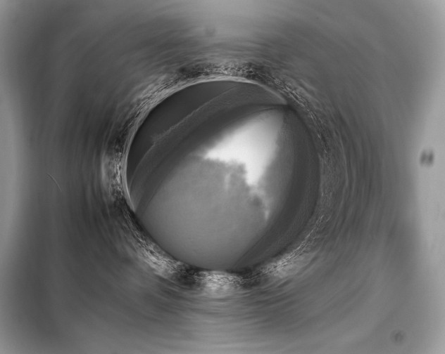 X0000098190336200804241251