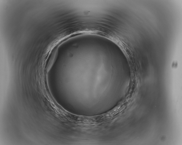 X0000098190337200804241250
