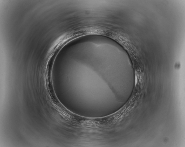X0000098190339200804241250