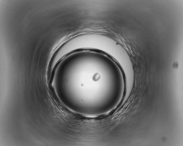 X0000098190340200804241250