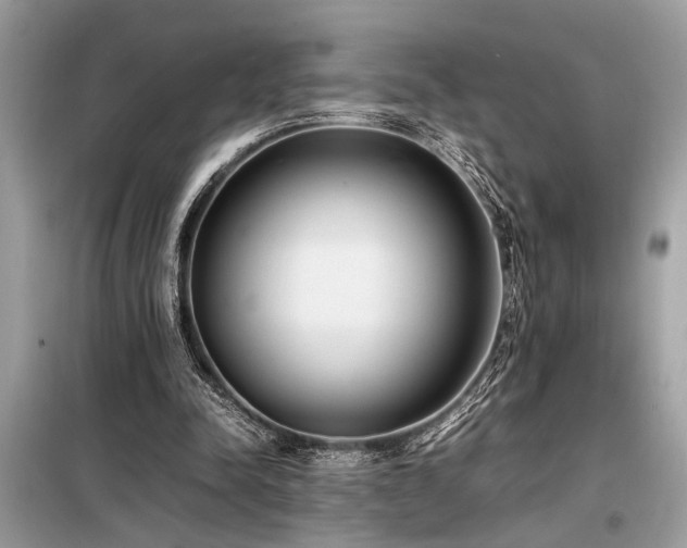 X0000098190342200804241250