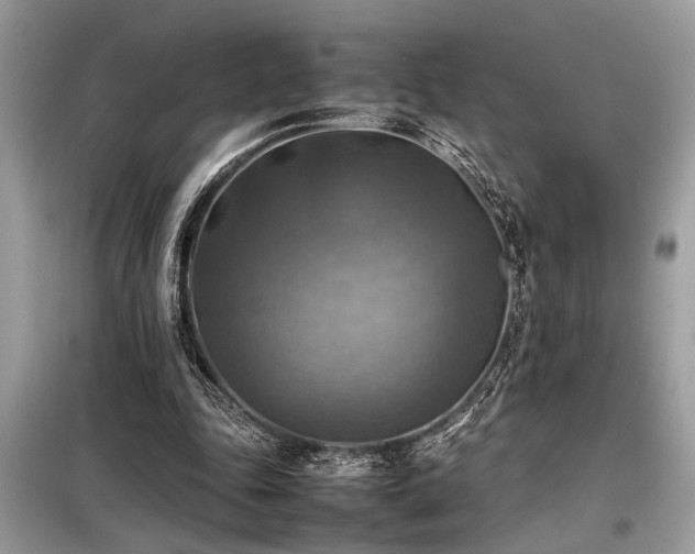 X0000098190343200804241250