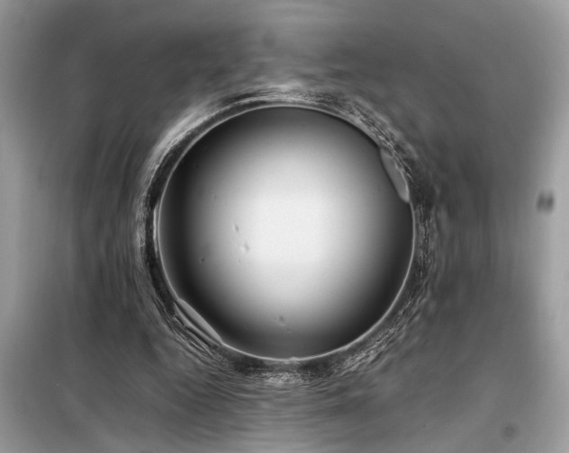 X0000098190344200804241250