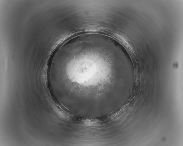 X0000098190346200804241250