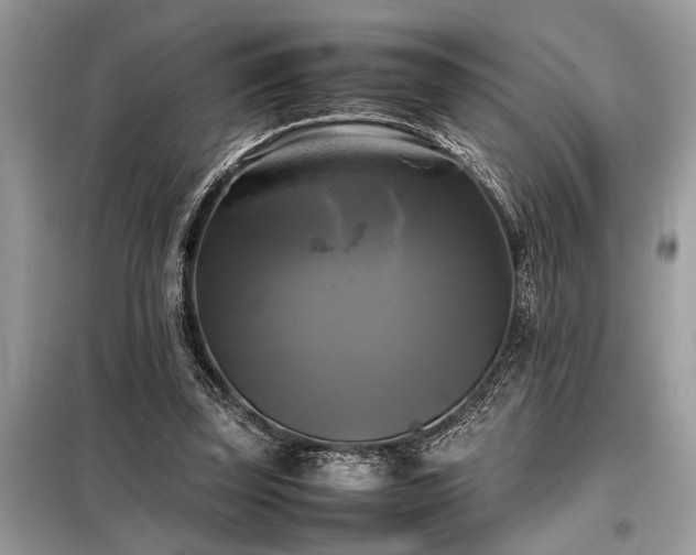 X0000098190347200804241250