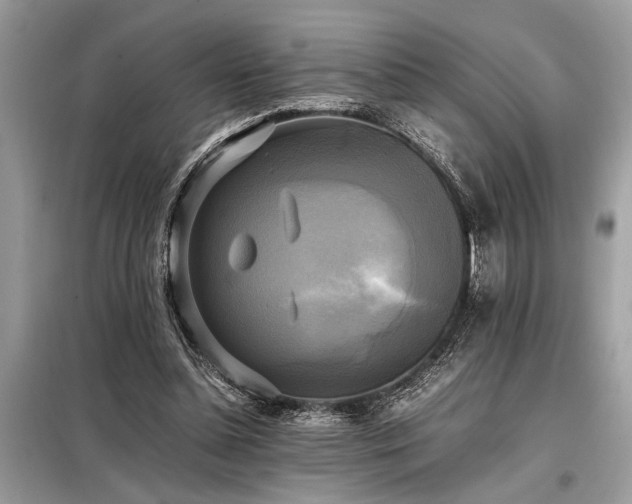 X0000098190348200804241250