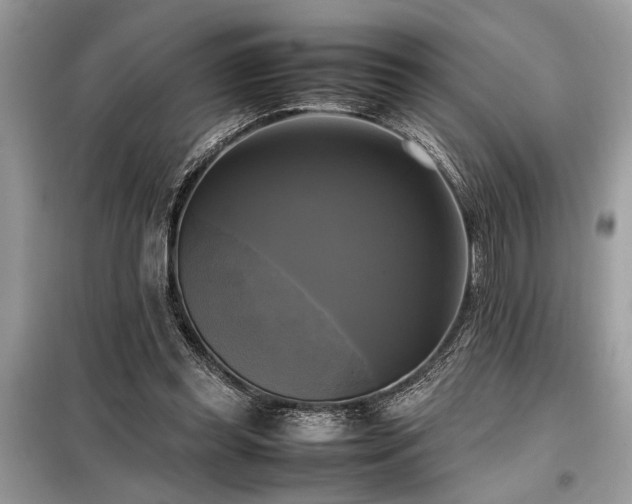 X0000098190349200804241250