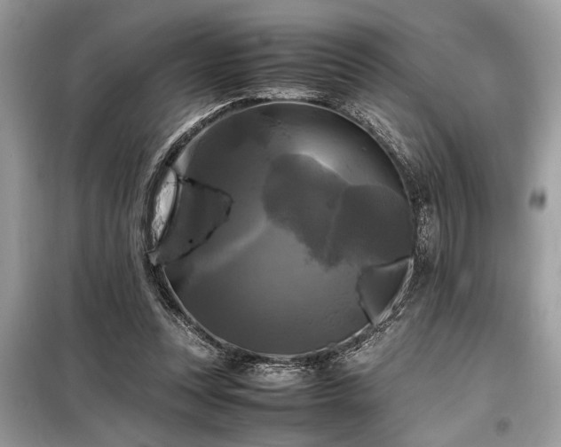 X0000098190351200804241250