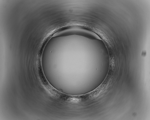 X0000098190352200804241250