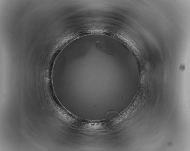 X0000098190353200804241250