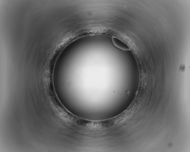 X0000098190354200804241250