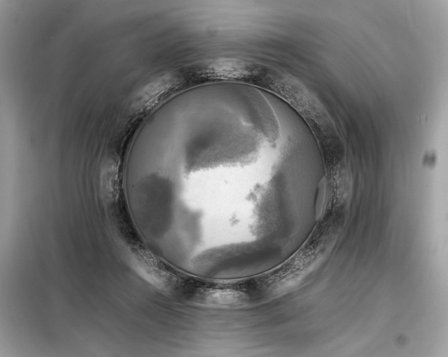 X0000098190360200804241250