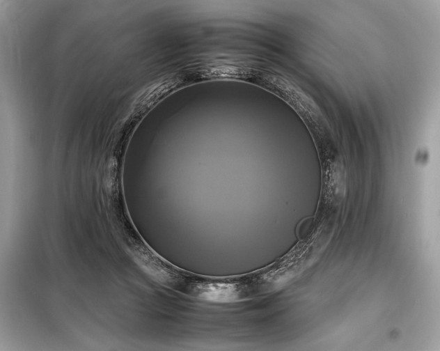 X0000098190361200804241250