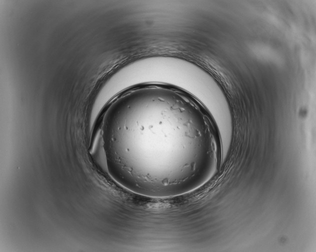 X0000098190362200804241250