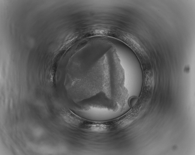 X0000098190363200804241250