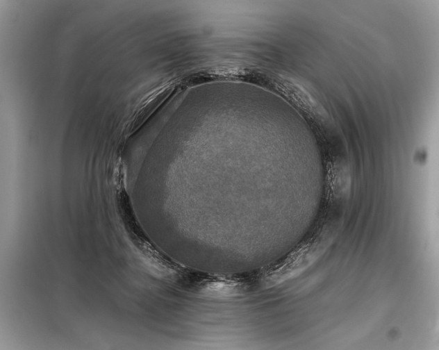 X0000098190364200804241250