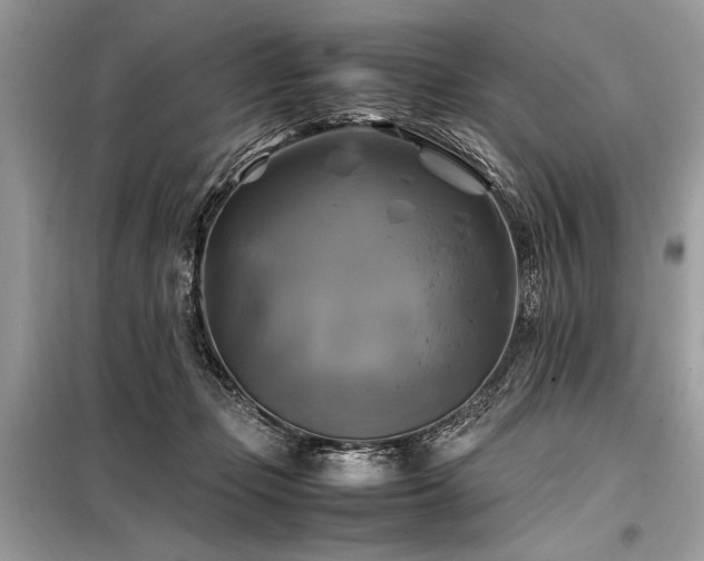 X0000098190365200804241250