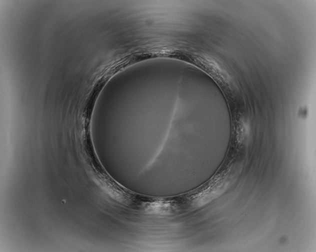 X0000098190366200804241250