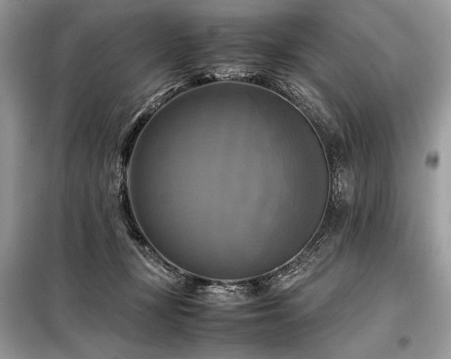 X0000098190367200804241250