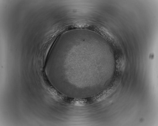 X0000098190368200804241250