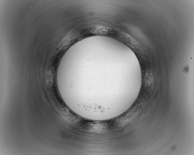 X0000098190370200804241250