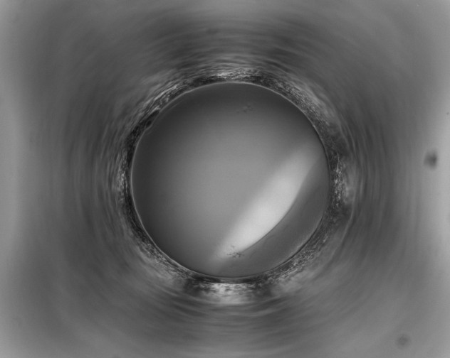 X0000098190371200804241250