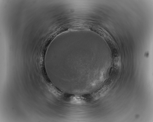 X0000098190372200804241250