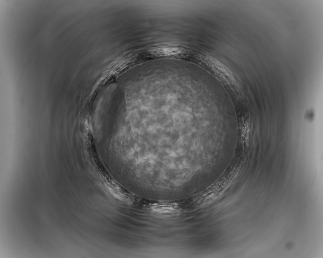 X0000098190373200804241250