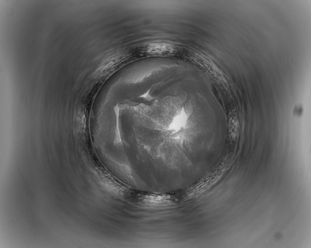 X0000098190375200804241250
