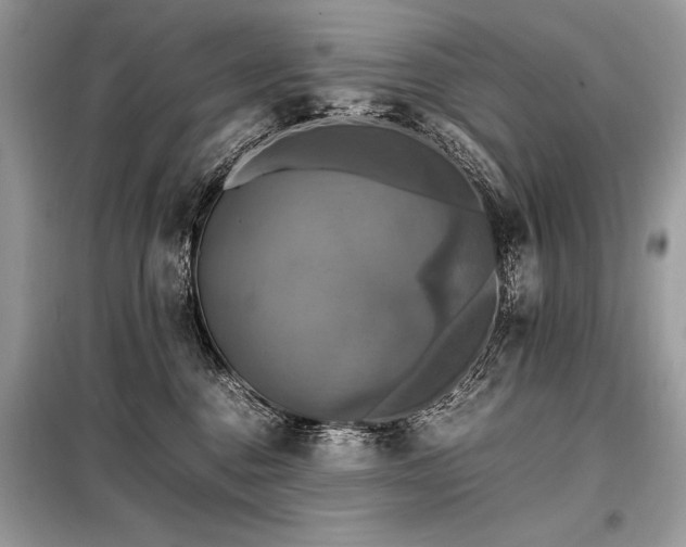 X0000098190376200804241250