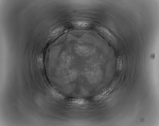X0000098190377200804241250